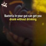 O bacterie provoacă boala ficatului gras şi te poate îmbăta chiar dacă nu consumi alcool